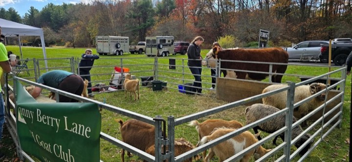 A wide view of last year's #VetFest grounds (photo 5 of 17).